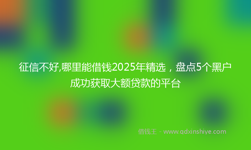 征信不好,哪里能借钱2025年精选，盘点5个黑户成功获取大额贷款的平台
