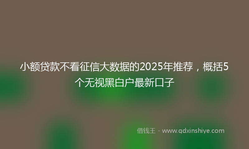 小额贷款不看征信大数据的2025年推荐，概括5个无视黑白户最新口子