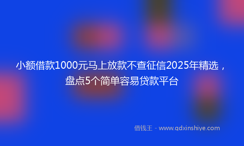 小额借款1000元马上放款不查征信2025年精选，盘点5个简单容易贷款平台