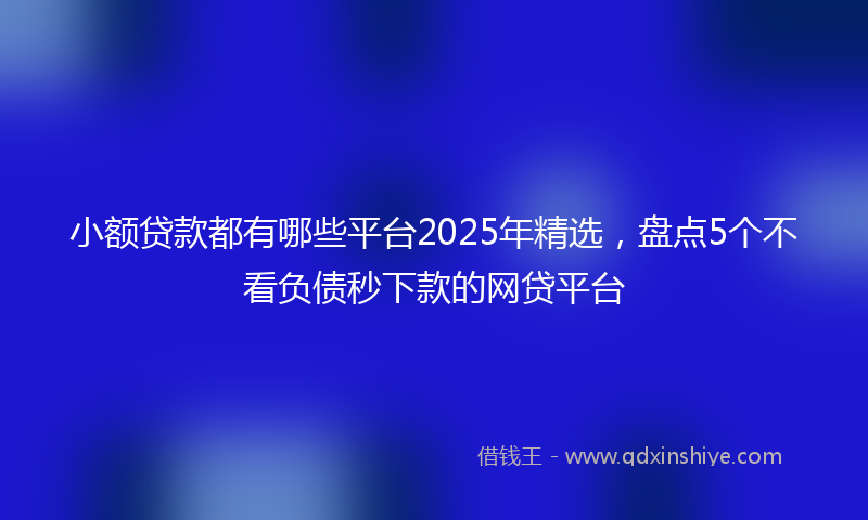 小额贷款都有哪些平台2025年精选，盘点5个不看负债秒下款的网贷平台