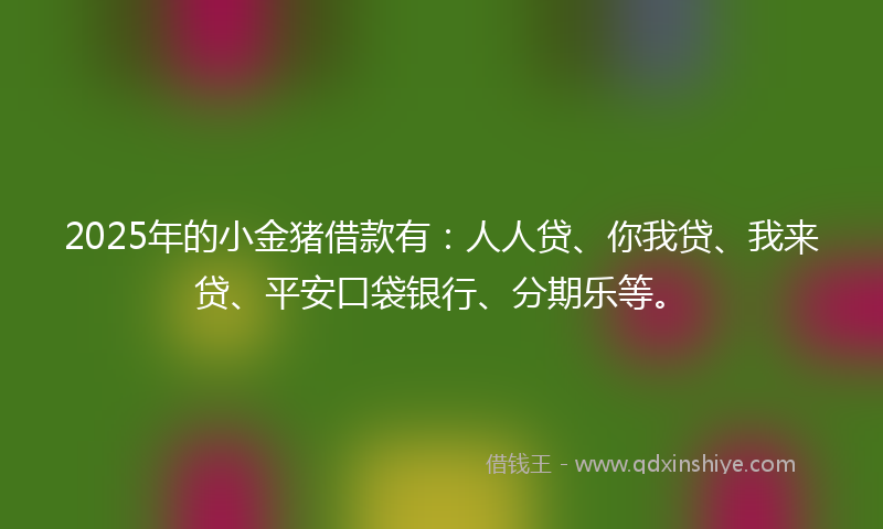 2025年的小金猪借款有：人人贷、你我贷、我来贷、平安口袋银行、分期乐等。