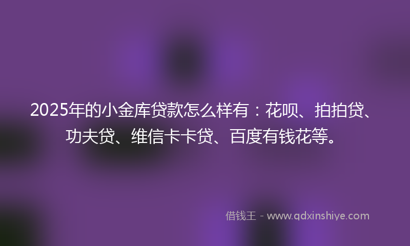 2025年的小金库贷款怎么样有：花呗、拍拍贷、功夫贷、维信卡卡贷、百度有钱花等。