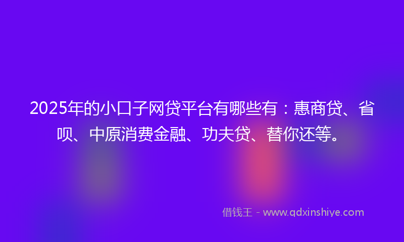 2025年的小口子网贷平台有哪些有：惠商贷、省呗、中原消费金融、功夫贷、替你还等。