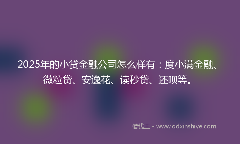 2025年的小贷金融公司怎么样有：度小满金融、微粒贷、安逸花、读秒贷、还呗等。