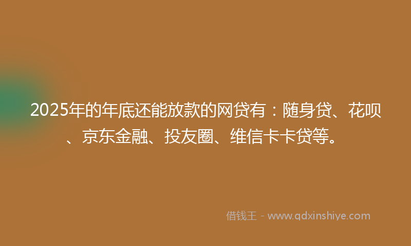 2025年的年底还能放款的网贷有：随身贷、花呗、京东金融、投友圈、维信卡卡贷等。