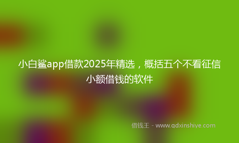 小白鲨app借款2025年精选，概括五个不看征信小额借钱的软件