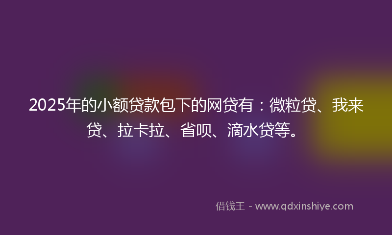 2025年的小额贷款包下的网贷有：微粒贷、我来贷、拉卡拉、省呗、滴水贷等。