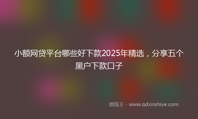 小额网贷平台哪些好下款2025年精选，分享五个黑户下款口子
