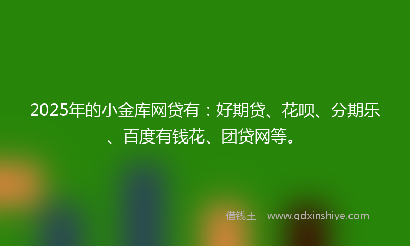 2025年的小金库网贷有：好期贷、花呗、分期乐、百度有钱花、团贷网等。