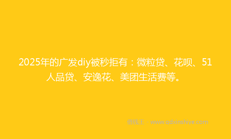 2025年的广发diy被秒拒有：微粒贷、花呗、51人品贷、安逸花、美团生活费等。