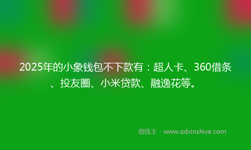 2025年的小象钱包不下款有：超人卡、360借条、投友圈、小米贷款、融逸花等。