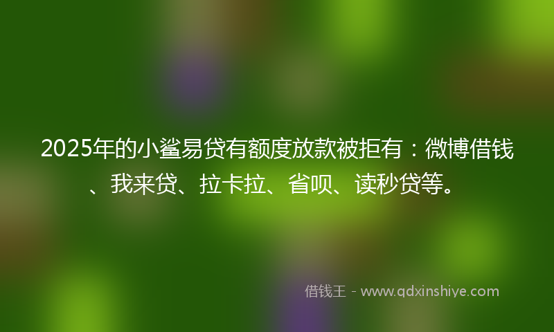2025年的小鲨易贷有额度放款被拒有：微博借钱、我来贷、拉卡拉、省呗、读秒贷等。