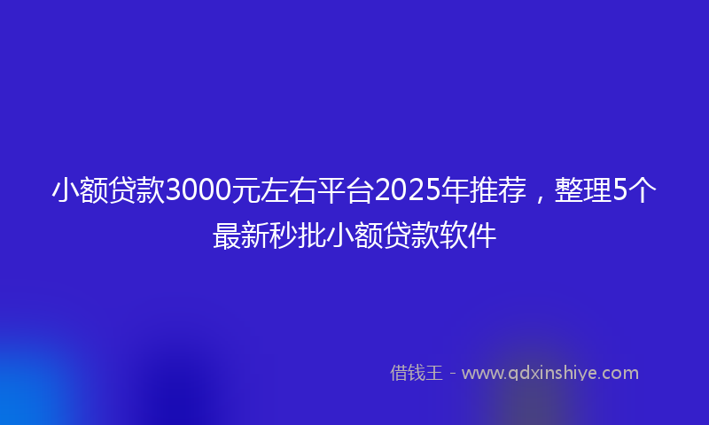 小额贷款3000元左右平台2025年推荐，整理5个最新秒批小额贷款软件