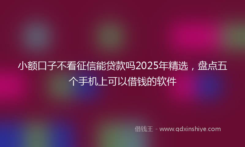小额口子不看征信能贷款吗2025年精选，盘点五个手机上可以借钱的软件