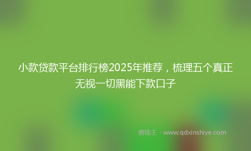 小款贷款平台排行榜2025年推荐，梳理五个真正无视一切黑能下款口子