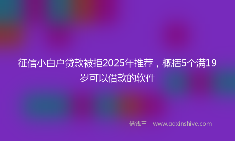征信小白户贷款被拒2025年推荐，概括5个满19岁可以借款的软件