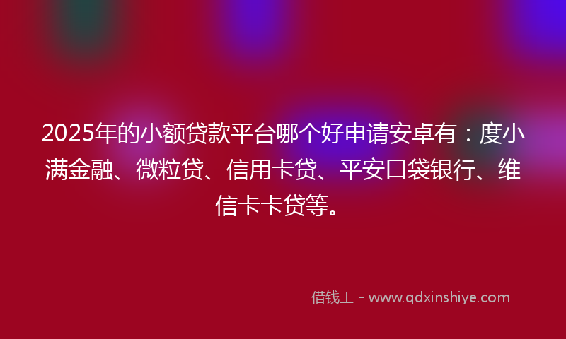 2025年的小额贷款平台哪个好申请安卓有：度小满金融、微粒贷、信用卡贷、平安口袋银行、维信卡卡贷等。