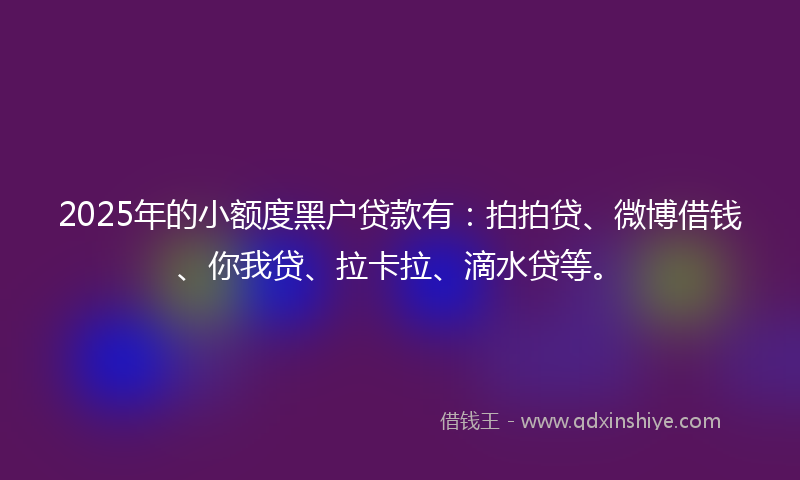 2025年的小额度黑户贷款有：拍拍贷、微博借钱、你我贷、拉卡拉、滴水贷等。