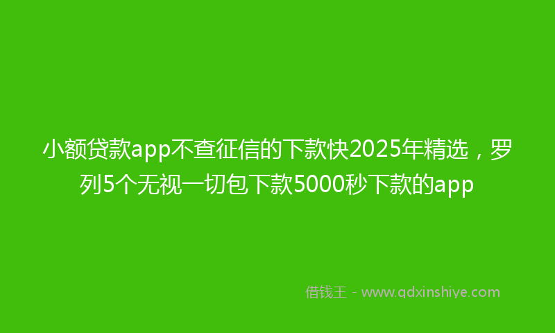 小额贷款app不查征信的下款快2025年精选，罗列5个无视一切包下款5000秒下款的app