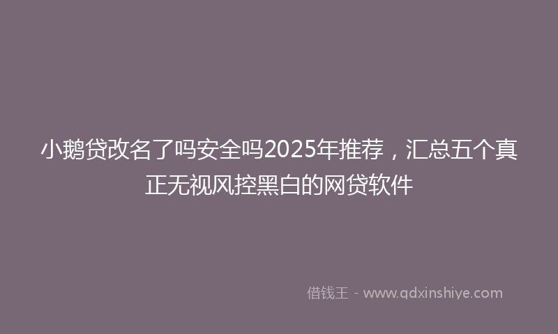 小鹅贷改名了吗安全吗2025年推荐，汇总五个真正无视风控黑白的网贷软件