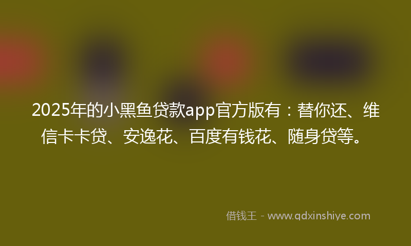 2025年的小黑鱼贷款app官方版有：替你还、维信卡卡贷、安逸花、百度有钱花、随身贷等。