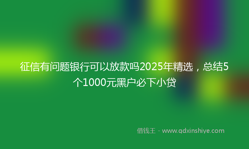 征信有问题银行可以放款吗2025年精选，总结5个1000元黑户必下小贷