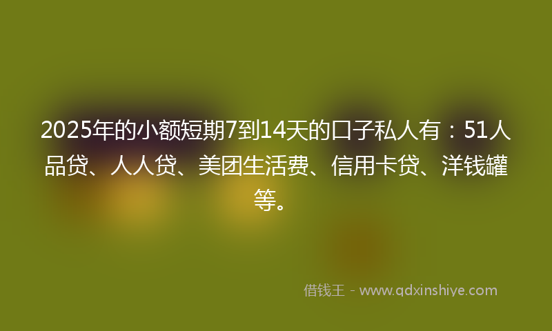 2025年的小额短期7到14天的口子私人有：51人品贷、人人贷、美团生活费、信用卡贷、洋钱罐等。