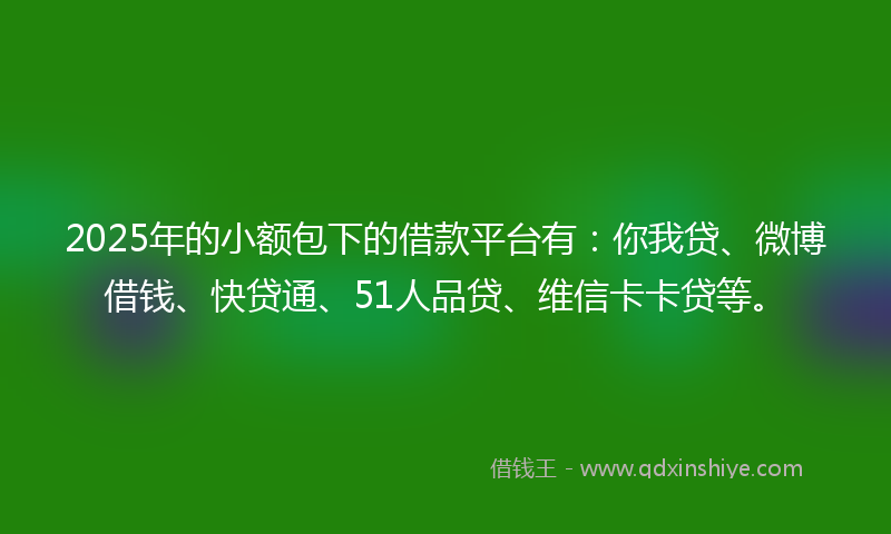 2025年的小额包下的借款平台有：你我贷、微博借钱、快贷通、51人品贷、维信卡卡贷等。