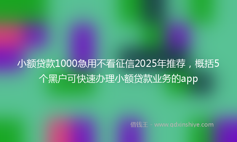 小额贷款1000急用不看征信2025年推荐，概括5个黑户可快速办理小额贷款业务的app