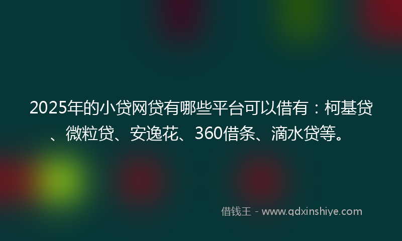 2025年的小贷网贷有哪些平台可以借有：柯基贷、微粒贷、安逸花、360借条、滴水贷等。