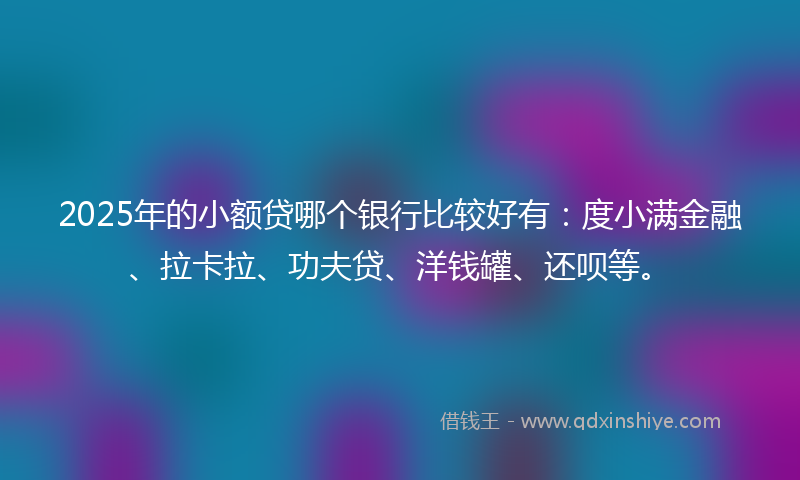 2025年的小额贷哪个银行比较好有：度小满金融、拉卡拉、功夫贷、洋钱罐、还呗等。