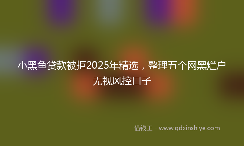 小黑鱼贷款被拒2025年精选，整理五个网黑烂户无视风控口子