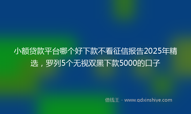 小额贷款平台哪个好下款不看征信报告2025年精选，罗列5个无视双黑下款5000的口子