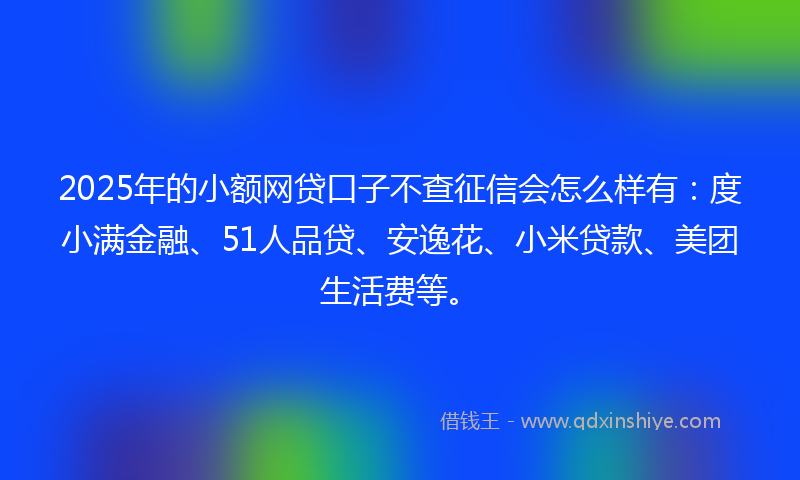 2025年的小额网贷口子不查征信会怎么样有：度小满金融、51人品贷、安逸花、小米贷款、美团生活费等。