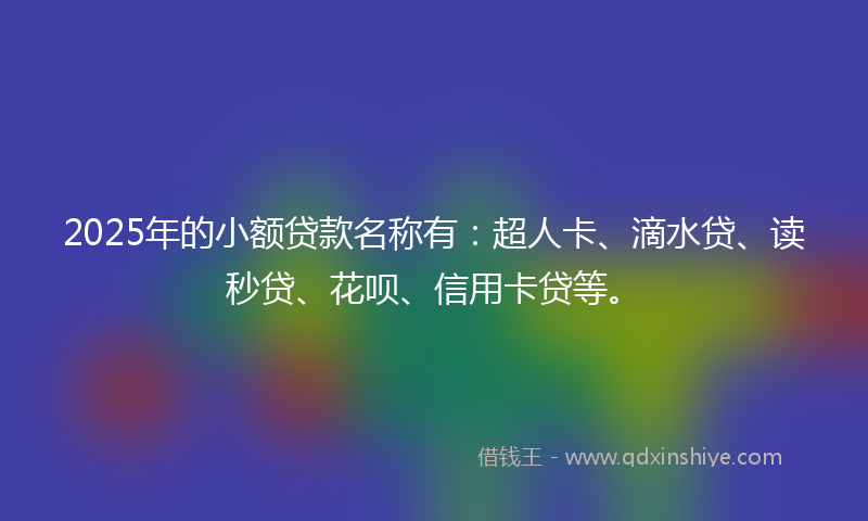 2025年的小额贷款名称有：超人卡、滴水贷、读秒贷、花呗、信用卡贷等。