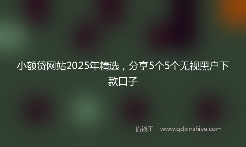 小额贷网站2025年精选，分享5个5个无视黑户下款口子