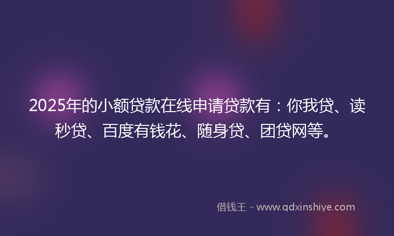 2025年的小额贷款在线申请贷款有：你我贷、读秒贷、百度有钱花、随身贷、团贷网等。