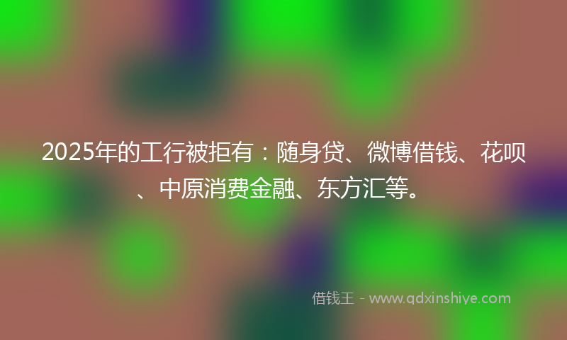 2025年的工行被拒有：随身贷、微博借钱、花呗、中原消费金融、东方汇等。