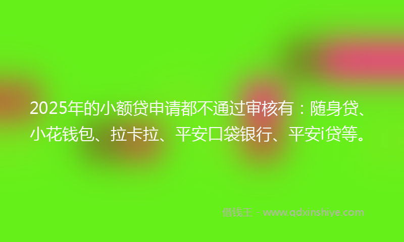 2025年的小额贷申请都不通过审核有：随身贷、小花钱包、拉卡拉、平安口袋银行、平安i贷等。