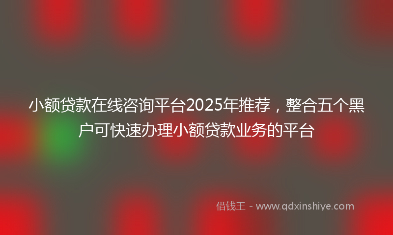 小额贷款在线咨询平台2025年推荐，整合五个黑户可快速办理小额贷款业务的平台
