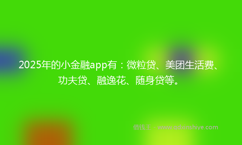 2025年的小金融app有：微粒贷、美团生活费、功夫贷、融逸花、随身贷等。