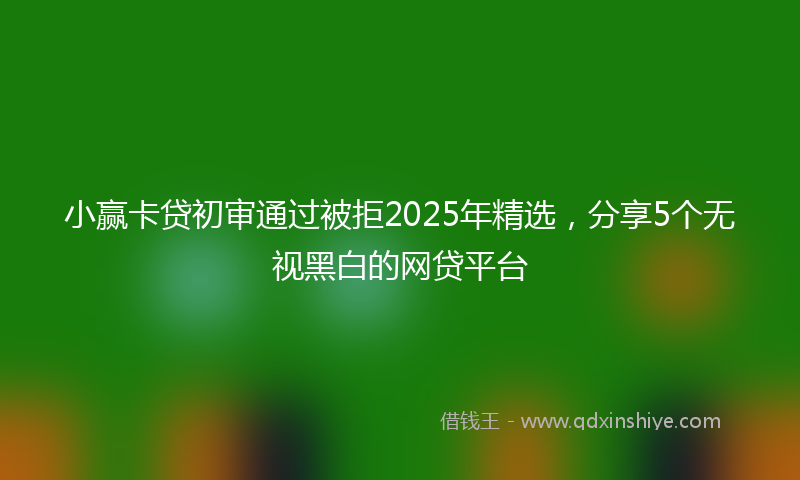 小赢卡贷初审通过被拒2025年精选，分享5个无视黑白的网贷平台
