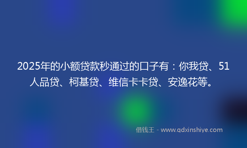 2025年的小额贷款秒通过的口子有：你我贷、51人品贷、柯基贷、维信卡卡贷、安逸花等。