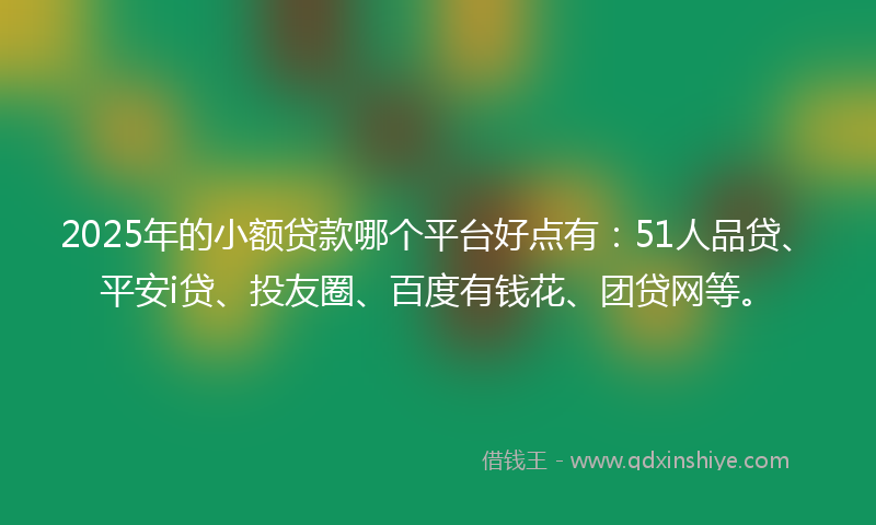 2025年的小额贷款哪个平台好点有：51人品贷、平安i贷、投友圈、百度有钱花、团贷网等。