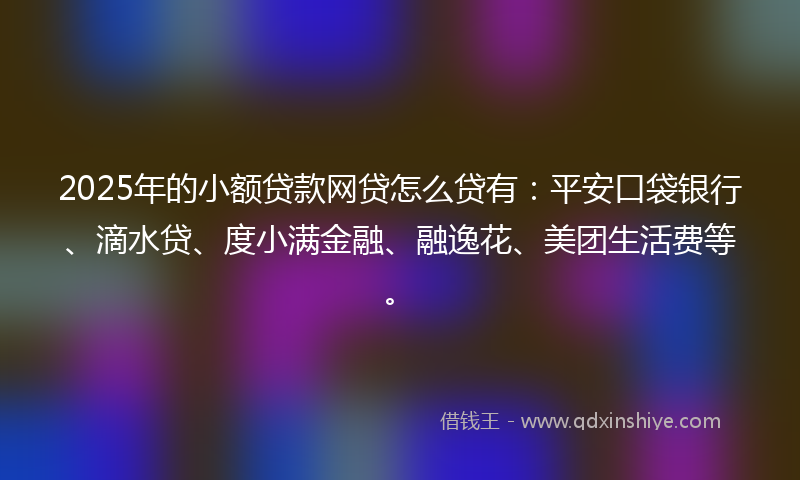 2025年的小额贷款网贷怎么贷有：平安口袋银行、滴水贷、度小满金融、融逸花、美团生活费等。
