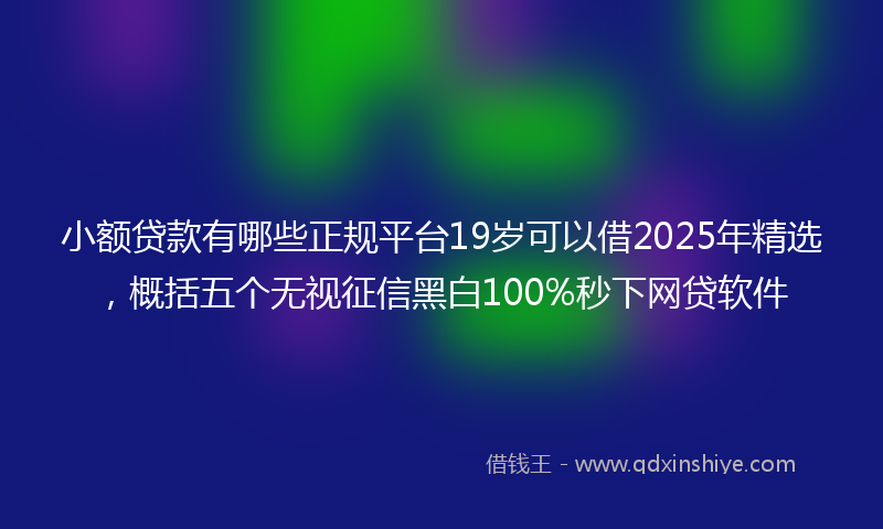 小额贷款有哪些正规平台19岁可以借2025年精选，概括五个无视征信黑白100%秒下网贷软件