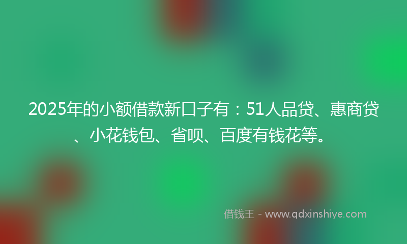 2025年的小额借款新口子有：51人品贷、惠商贷、小花钱包、省呗、百度有钱花等。