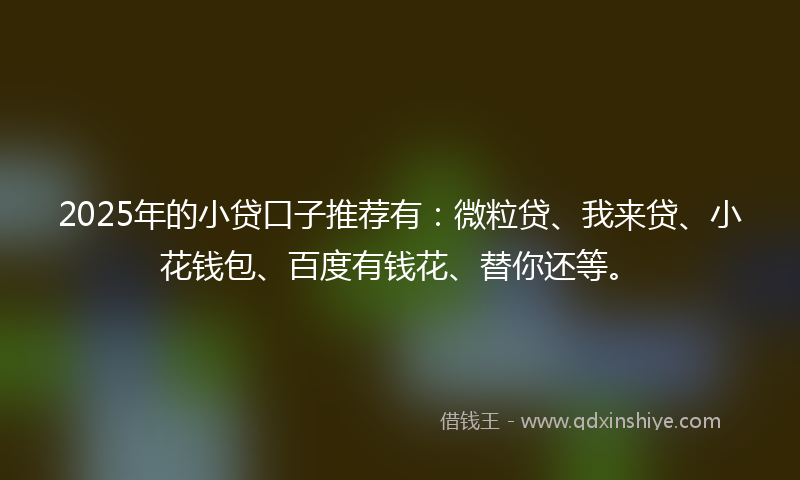 2025年的小贷口子推荐有：微粒贷、我来贷、小花钱包、百度有钱花、替你还等。