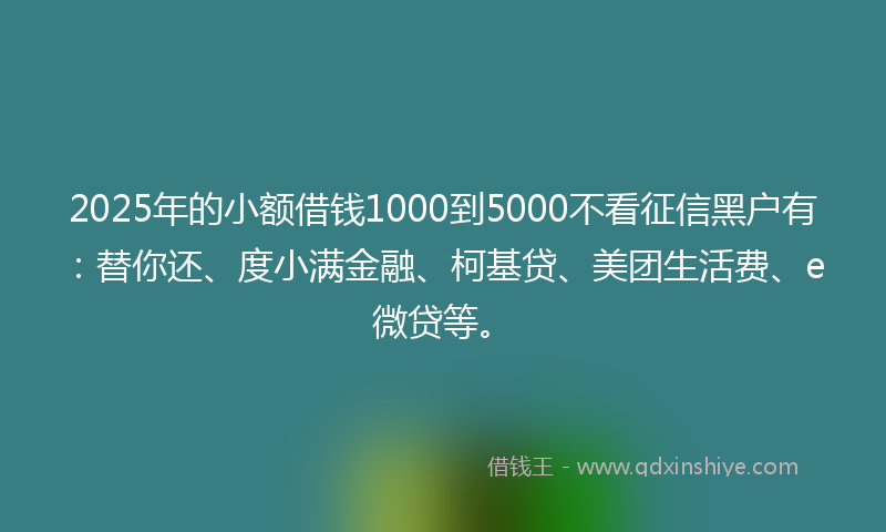 2025年的小额借钱1000到5000不看征信黑户有：替你还、度小满金融、柯基贷、美团生活费、e微贷等。