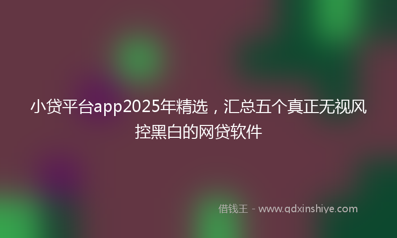 小贷平台app2025年精选，汇总五个真正无视风控黑白的网贷软件